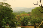 Scottburgh - Crocworld -  (7)