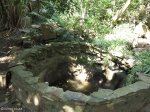scottburgh-shakas-spring-t-c-robinson-reserve-off-r102-s-30-16-869-e-30-45-203-elev-12m-3