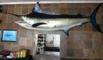 Shelly Beach Ski Boat Club - Memorabilia (2)