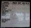 Shelly Beach Ski Boat Club - recent catches