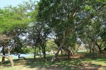 shongweni-dam-views-11