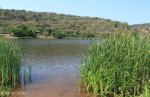 shongweni-dam-views-12
