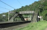shongweni-delville-wood-station-s-29-50-03-e-30-44-07-elev-428m-3