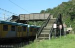 shongweni-delville-wood-station-s-29-50-03-e-30-44-07-elev-428m-4