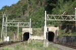 shongweni-delville-wood-station-s-29-50-03-e-30-44-07-elev-428m-5