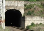 shongweni-delville-wood-station-s-29-50-03-e-30-44-07-elev-428m-6