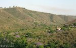 shongweni-road-m46-castle-s29-50-31-e-30-42-25-elev-438m