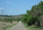 shonweni-reserve-entrance-s-29-51-33-e-30-43-47-elev-425m-3