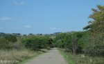 shonweni-reserve-entrance-s-29-51-33-e-30-43-47-elev-425m-4