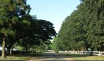 summerveld-entrance-drive-1