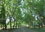 summerveld-entrance-drive-1_0