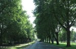 summerveld-entrance-drive-2