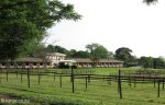 summerveld-stables