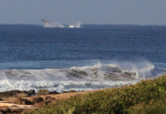 Scottburgh-whales-3