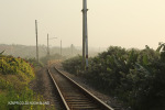 Anerley rail bridge (2)