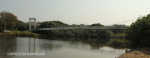 Hibberdene - Mzimayi - Pedestrian bridge (4)