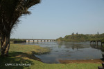 Ifafa - River (24)