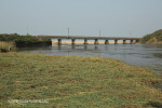 Ifafa - River (27)