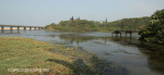Ifafa - River old screw pile bridge  (4)
