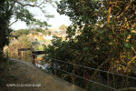 Koshwana Rver - Banana Beach -  (1)
