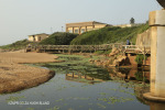 Koshwana Rver - Banana Beach -  (8)