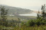 Mtwalumi Rail bridge (3)