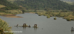 Mtwalumi old screw pile bridge pylons (4)