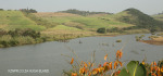 Mtwalumi old screw pile bridge pylons (5)