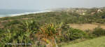 Mtwalumi rail bridge (6)