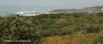 Mzumbe River rail bridge (4)