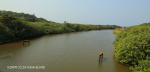 Umzinto River -   (18)