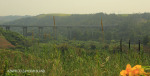 Umzinto River -   (28)