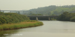 Umzinto River - 30.21.949 E 30.42 (29)