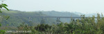 Umzinto River - 30.21.949 E 30.42 (44)