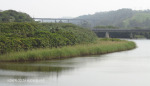 Umzinto River - 30.21.949 E 30.42 (45)
