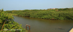 Umzinto River -   (7)