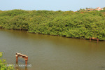 Umzinto River -   (8)