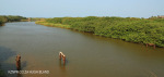 Umzinto River -   (9)