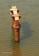 Umzinto River old bridge piles (1)