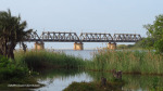 Illovo River Rail Bridge - view from R103 (11)