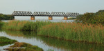Illovo River Rail Bridge - view from R103 (3)