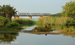 Illovo River Rail Bridge - view from R103 (5)