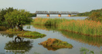 Illovo River Rail Bridge - view from R103 (6)
