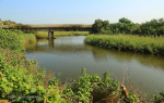Ngane River Road Bridge No 932 - S 30.10.702 E 30.48 (2)