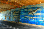 Umkomaas - Rail - Road underpass to CBD  - Moodie Street - S 30.12.436 E 30.48 (3)