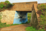 Winklespruit - Rail underpass -  Glen Road - S 30.06.429 E 30.51.277