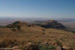 spionkop-aloe-knoll