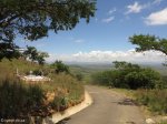 spionkop-burger-graves-elev-1454m-2