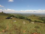 spionkop-burger-graves-s-28-38-50-e-29-31-04-elev-1454m-1