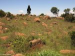 spionkop-ctrest-terrain